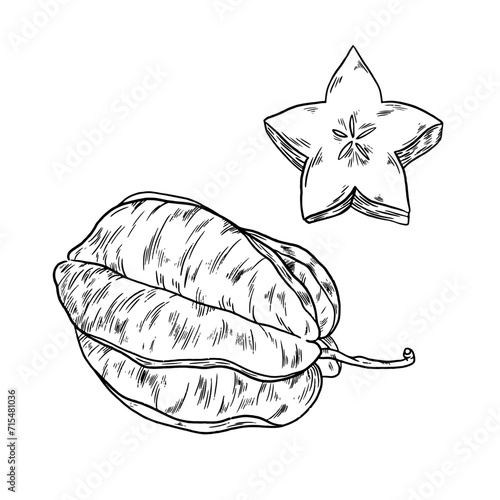 Illustration Vecteur Carambole