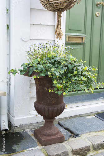 Ivy display in rusty large urn outside a house
