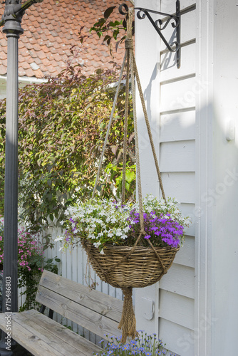 White and purple aubretia plant in a hanging basket outside a house.