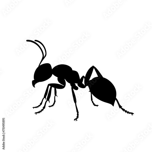 Silhouette ant full body black color only