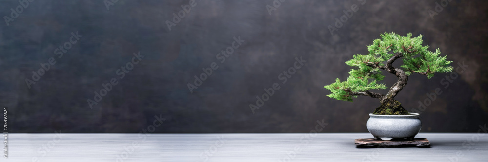 Minimalist Bonsai Tree on Dark Background Minimalist Bonsai Tree on Dark Background