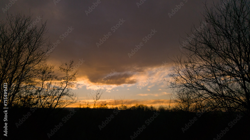 Vibrant sunset seen from the wild forest. Pastel colors in the evening sky. Cloud formations in abstract shapes Vibrant sunset seen from the wild forest. Pastel colors in the evening sky. Cloud formations in abstract shapes