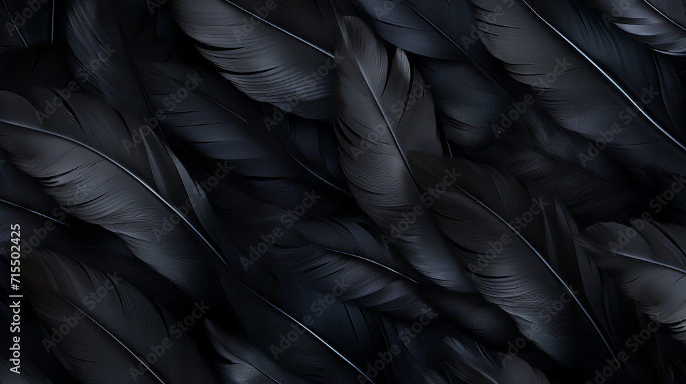 close up of texture - black feathers close up of texture - black feathers