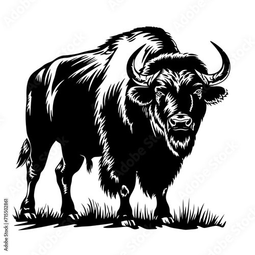 Silhouette buffalo full body black color only