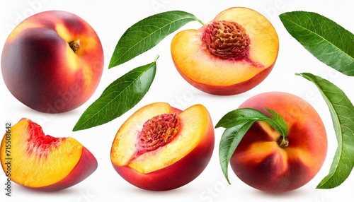 collection of whole and cut nectarine peach fruits and leaves cutout
