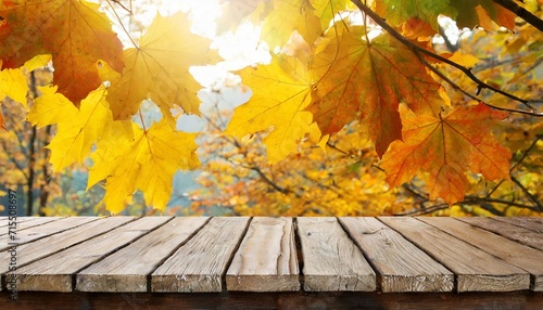 wooden table top over orange maple leaves in autumn