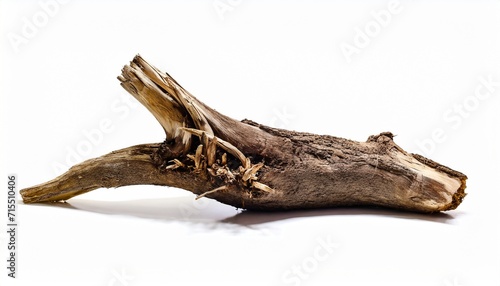 dead tree root isolated on white