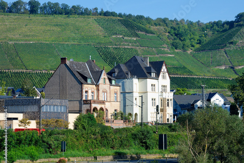 Winningen city along the Moselle, Winningen, Rhineland-Palatinate photo