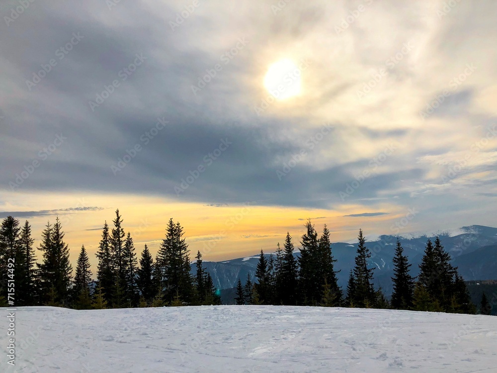 Sunset in winter over forest of coniferous trees Sunset in winter over forest of coniferous trees