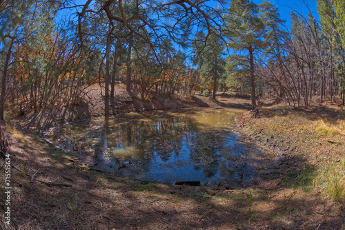 One of three ponds called the Hearst Tanks, on Grand Canyon South Rim, located one mile east of Grandview Point, Grand Canyon National Park, UNESCO World Heritage Site, Arizona  photo