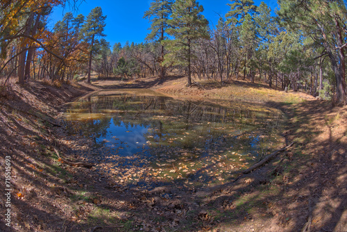 One of three ponds called the Hearst Tanks, on Grand Canyon South Rim, located one mile east of Grandview Point, Grand Canyon National Park, UNESCO World Heritage Site, Arizona  photo