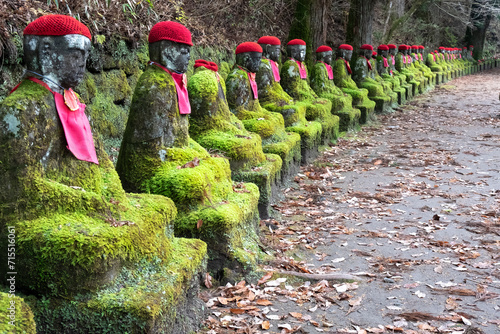 Narabi Jizo Buddha statues with red hat covered with Moss in Nikko, Tochigi, Honshu, Japan photo