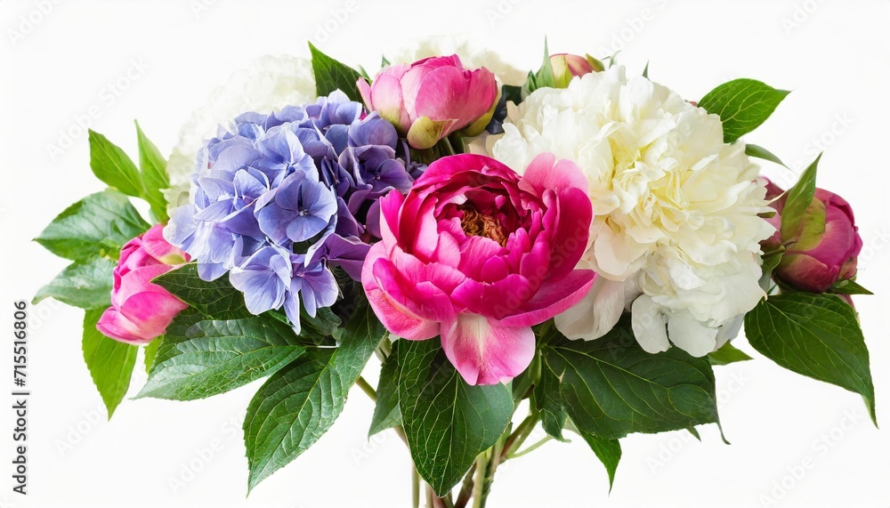 floral line arrangement bouquet of garden flowers pink peonies green leaves white roses iris hydrangea isolated on white background can be used for wedding invitations greeting cards