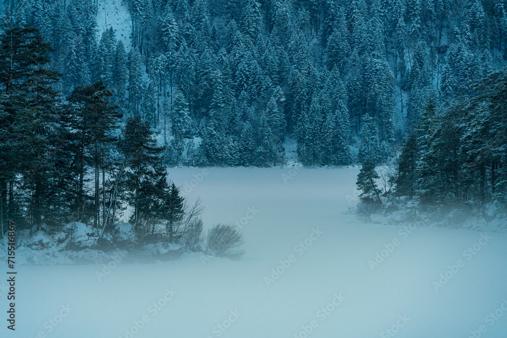Obraz premium Lake Eibsee with ice and snow and the trees are embedded with fog at the background