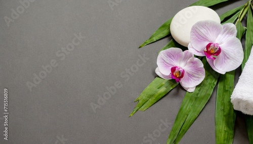 spa orchid theme objects on grey background