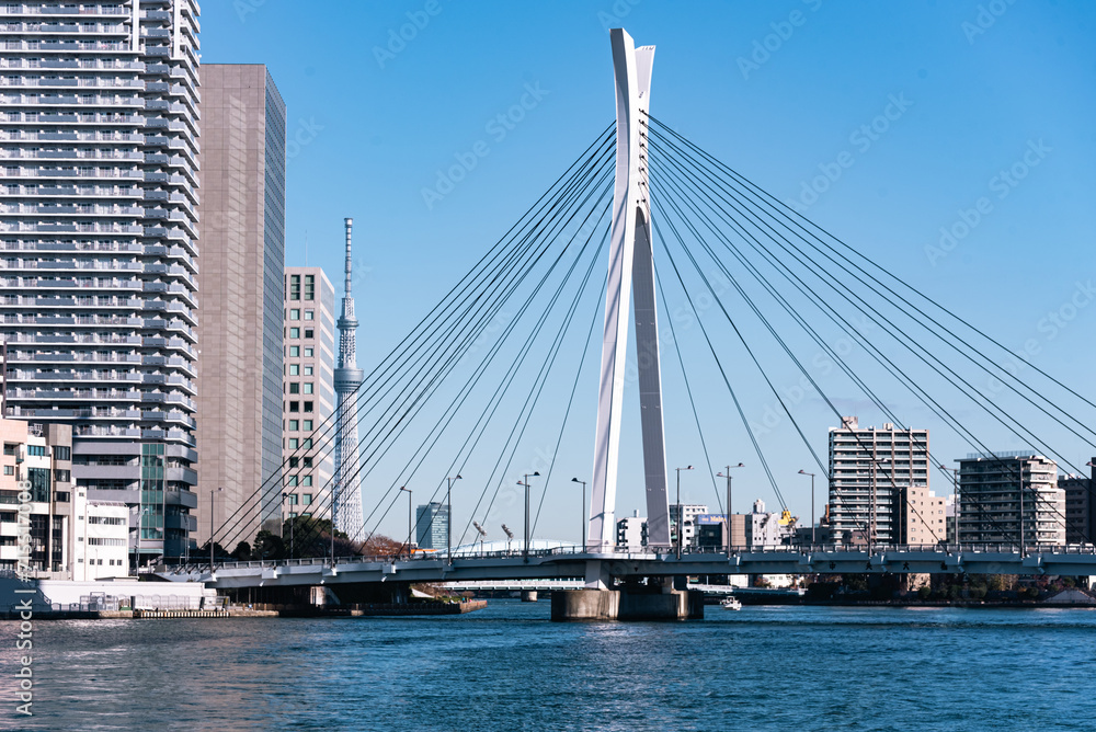 Chuo Ohashi Bridge on blue Sumida River with Skytree in the background, Tokyo river cruise, Tokyo, Honshu, Japan Chuo Ohashi Bridge on blue Sumida River with Skytree in the background, Tokyo river cruise, Tokyo, Honshu, Japan