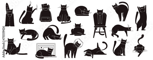 Black cat poses. Cute kitty sitting and walking, funny fluffy domestic cats in different poses and positions. Vector cartoon cats isolated set photo