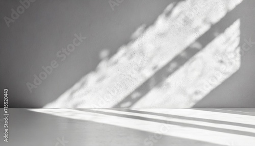 a light gray wall with a smooth floor and a beautiful openwork shadow minimalistic background for presentation photo