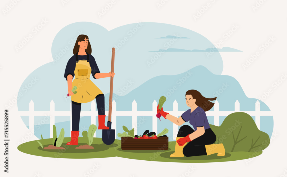 Agricultural employees working in garden. Woman planting radishes with shovel. Friend helping and giving vegetables
