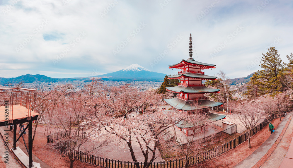 Panorama of Mount Fuji with sakura cherry Blossom in Spring and Chureito pagoda in temple at Japan