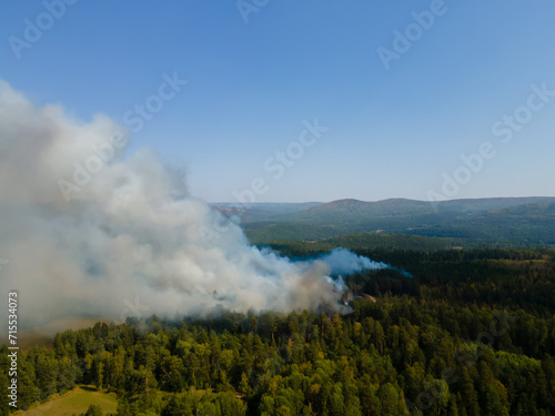 A forest fire due to strong winds and hot weather in summer. A pine forest with white smoke is burning. Natural disasters concepts.