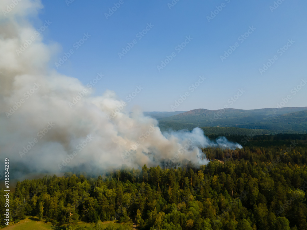 A forest fire due to strong winds and hot weather in summer on top of mountains and blue sky. A pine forest with white smoke is burning. Natural disasters concepts.
