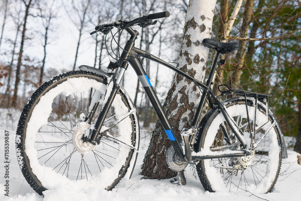 Close-up of a modern black bicycle in a winter snowy forest during the day.