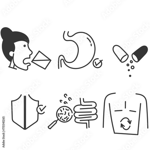 hand drawn doodle Digestion intestine stomach and probiotic icon related