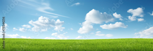 A clear and tranquil blue sky with wispy clouds over a lush green field on a sunny day.