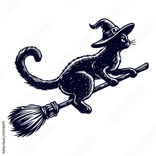 cat witch flying on a broomstick illustration