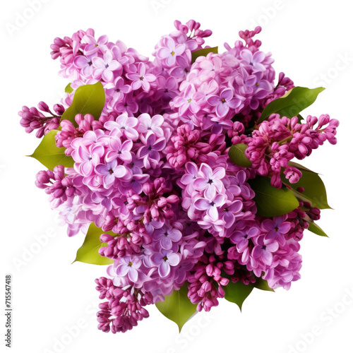 Lilac: Purple color is given to women as if it were their first love. © kanyarat