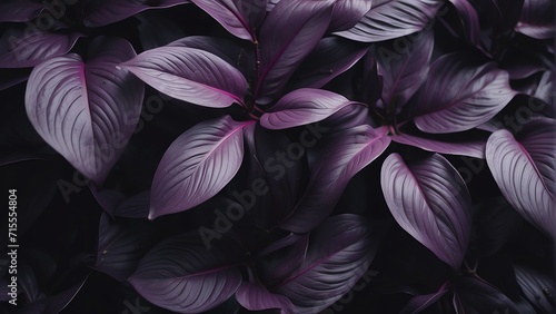 Purple plant tropical leaves background pattern wallpaper from Generative AI