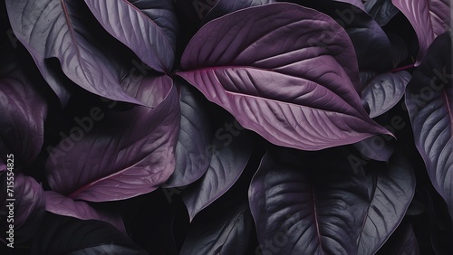 Purple plant tropical leaves background pattern wallpaper from Generative AI