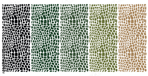 Set of colorful reptile skin backgrounds. Animal print texture.