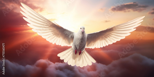 A graceful white dove soars with wings spread against a dramatic sunset sky, symbolizing peace. © tashechka