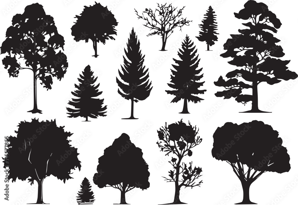 Fototapeta premium Set Trees. Hand drawn vector illustration