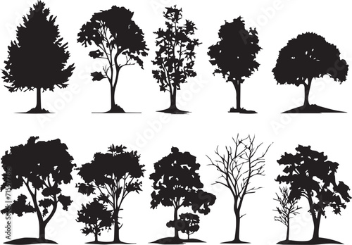 Set Trees. Hand drawn vector illustration
