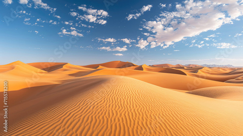 The vastness of the desert with the endless panorama of rolling sand dunes