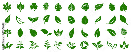 Leaf icons set ecology nature element, green leafs, environment and nature eco sign. Leaves on white background – for stock