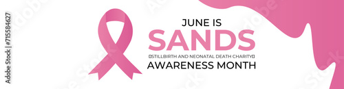 SANDS (stillbirth and neonatal death charity) awareness month is observed every year in june. June is SANDS awareness month. Vector template for banner, cover, greeting card, poster with background.