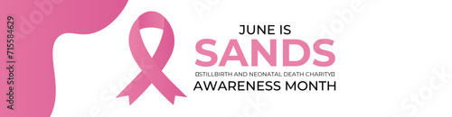 SANDS (stillbirth and neonatal death charity) awareness month is observed every year in june. June is SANDS awareness month. Vector template for banner, cover, greeting card, poster with background.