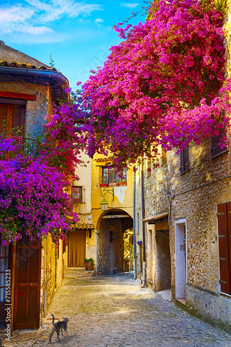 Fototapeta Naklejka Na Ścianę i Meble -  art beautiful old town of Provence Alpes Cote de Azur