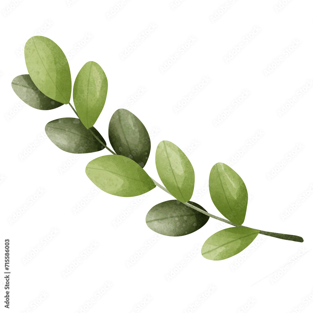 Green leaves watercolor drawing Green leaves watercolor drawing
