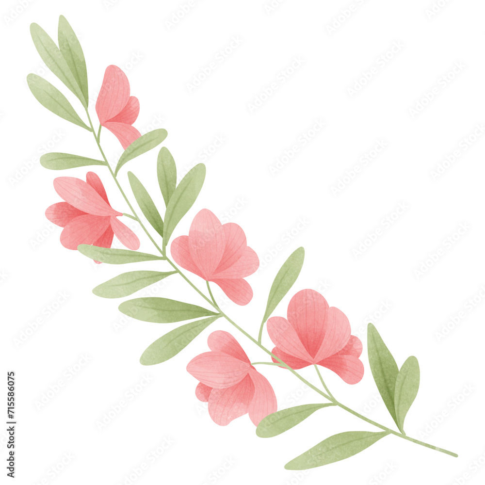 Pink flowers watercolor drawing