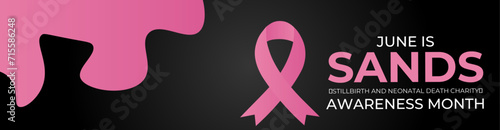 Sands (stillbirth and neonatal death charity) awareness month. Every june stillbirth awareness concept for banner, poster, flyer, brochure, cover, backdrop, card and background design. vector