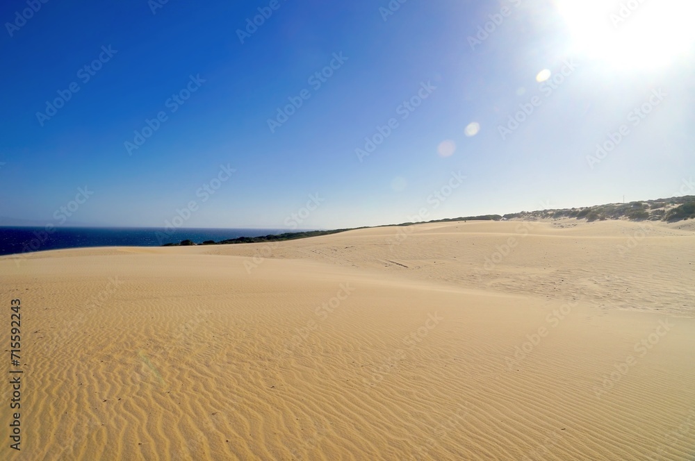 high sandy dune landscape near Valdevaquero with a view towards the Atlantic Ocean, Tarifa, Cadiz, Andalusia, Spain, fantastic landscape, tourism, travel