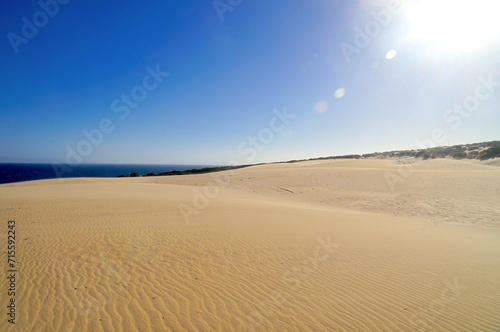 high sandy dune landscape near Valdevaquero with a view towards the Atlantic Ocean, Tarifa, Cadiz, Andalusia, Spain, fantastic landscape, tourism, travel