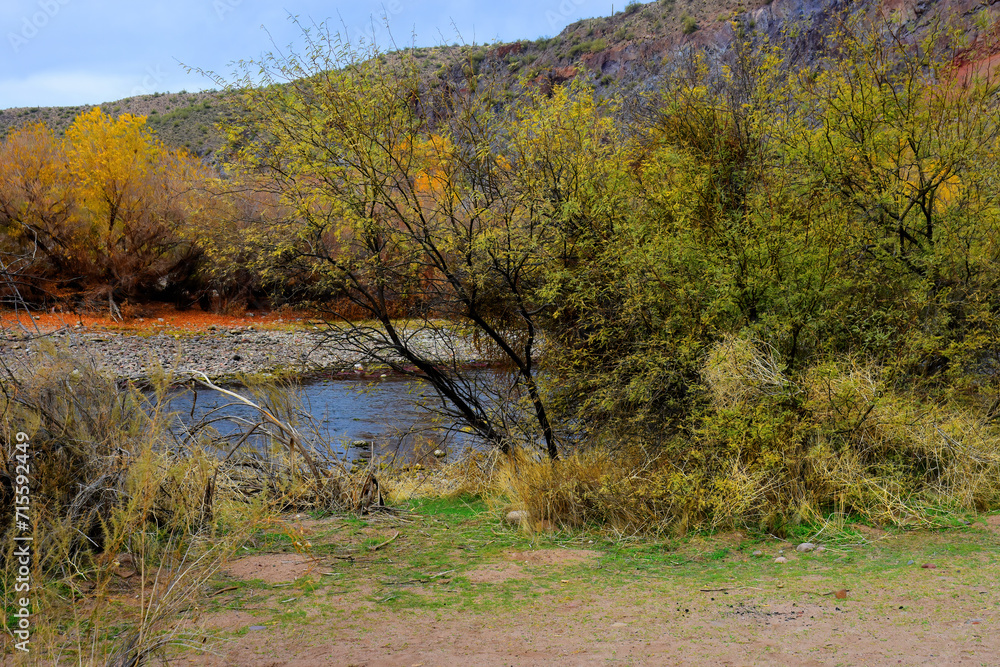 Salt River Recreation Area Arizona Salt River Recreation Area Arizona