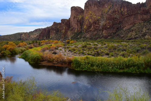 Salt River Recreation Area Arizona