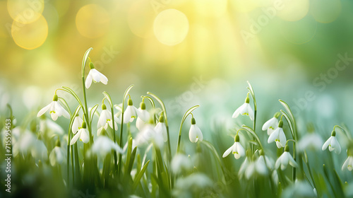 Springtime Bliss, Colorful Seasonal Background with Copy Space